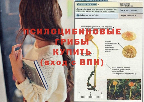 каннабис Надым