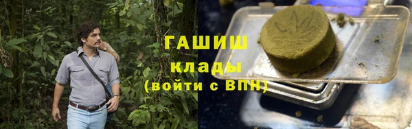 шишки Осташков